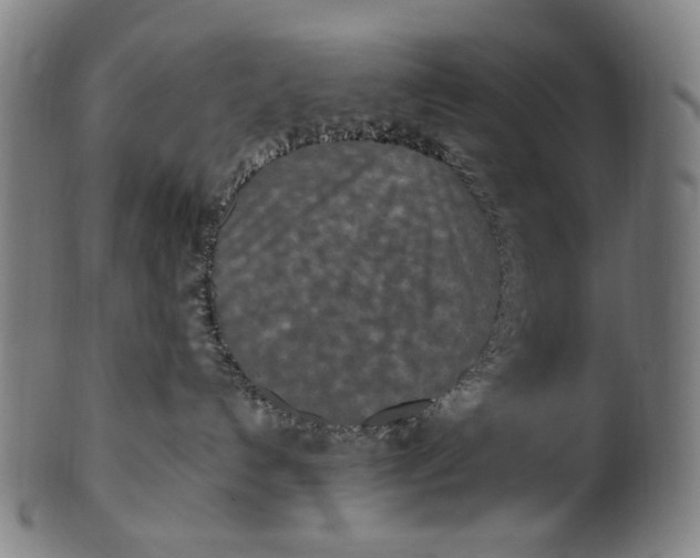 X0000100850192200807111225