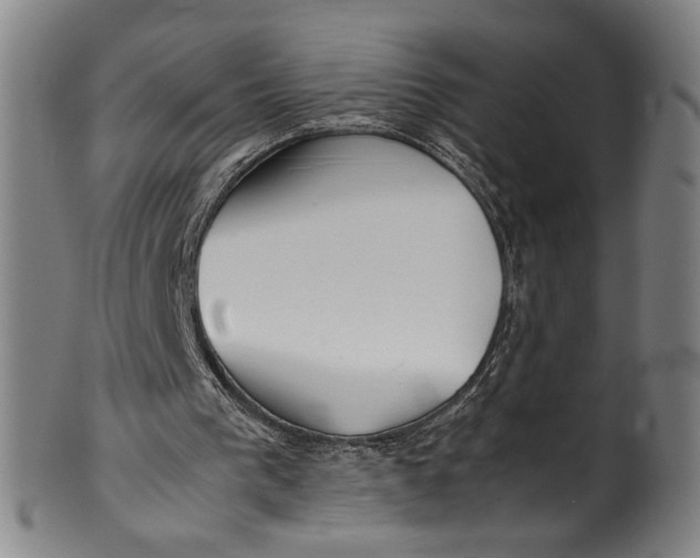 X0000100850193200807111224