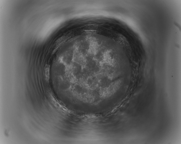 X0000100850194200807111224