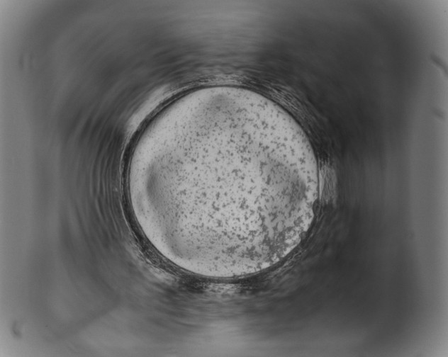 X0000100850195200807111224