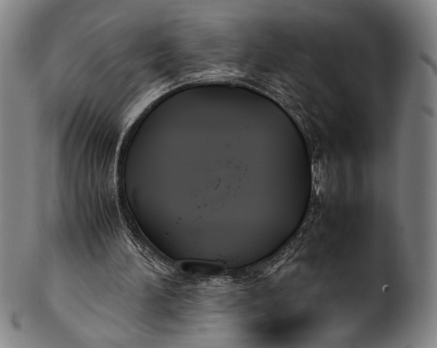 X0000100850196200807111224