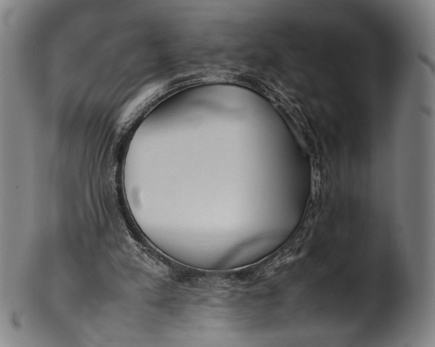 X0000100850197200807111224