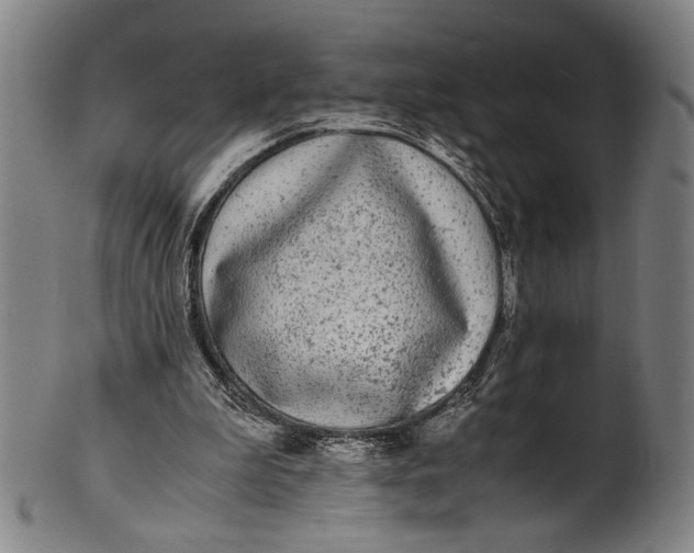 X0000100850199200807111224