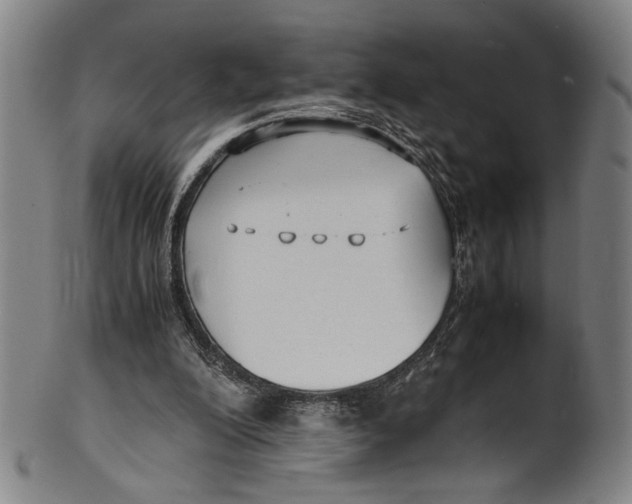 X0000100850200200807111224