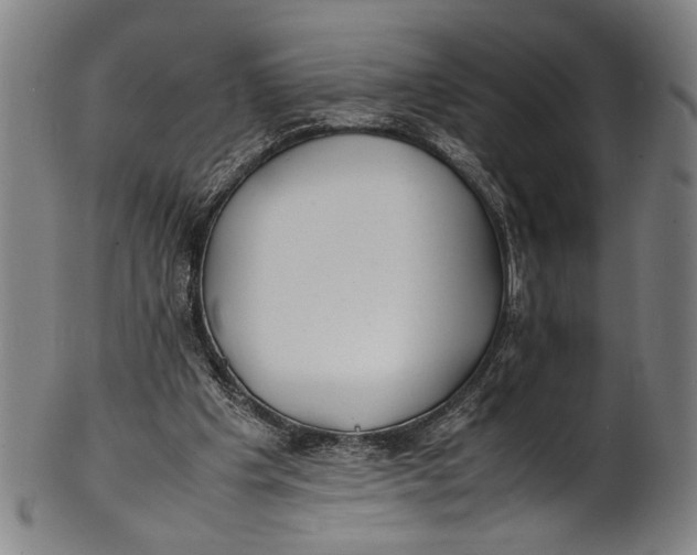 X0000100850201200807111224