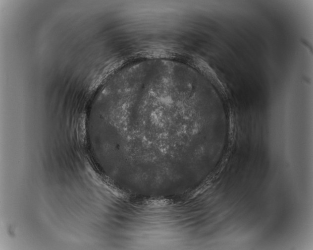 X0000100850202200807111224