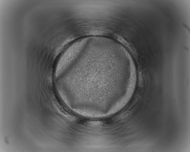 X0000100850203200807111224