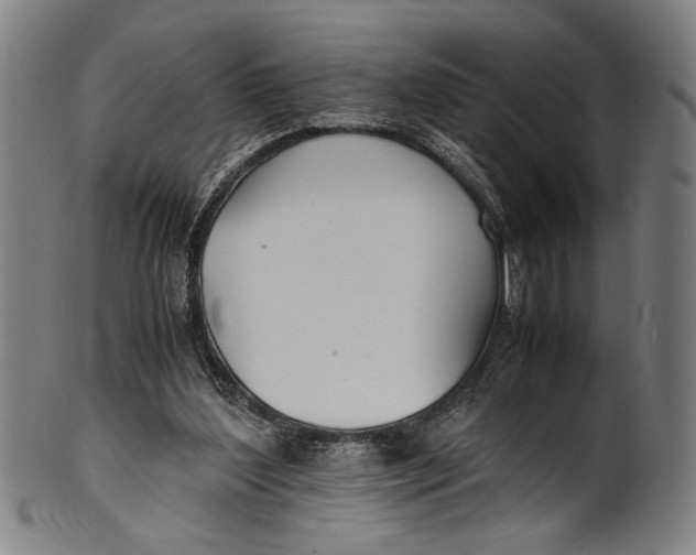 X0000100850204200807111224