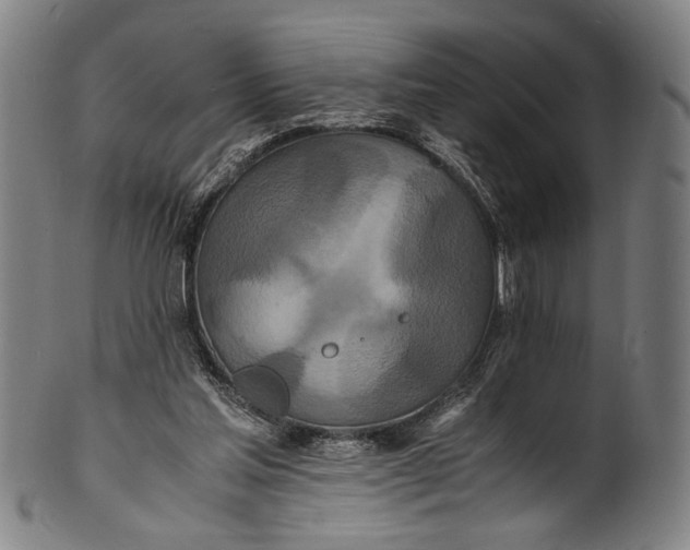 X0000100850205200807111224