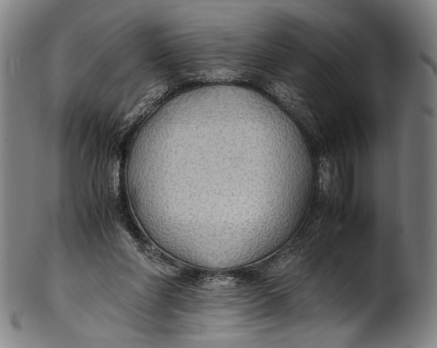 X0000100850206200807111224