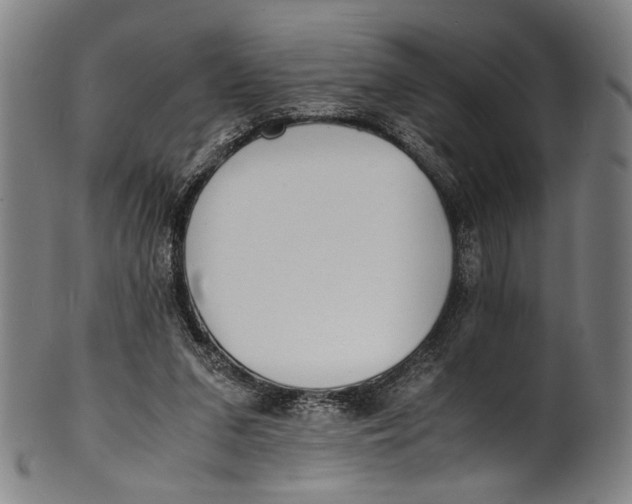 X0000100850207200807111224