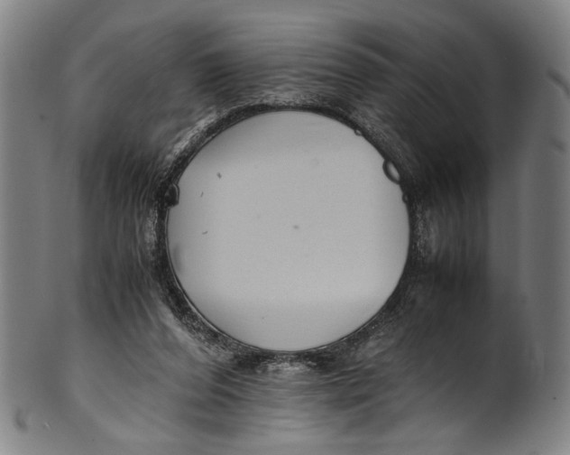 X0000100850208200807111224