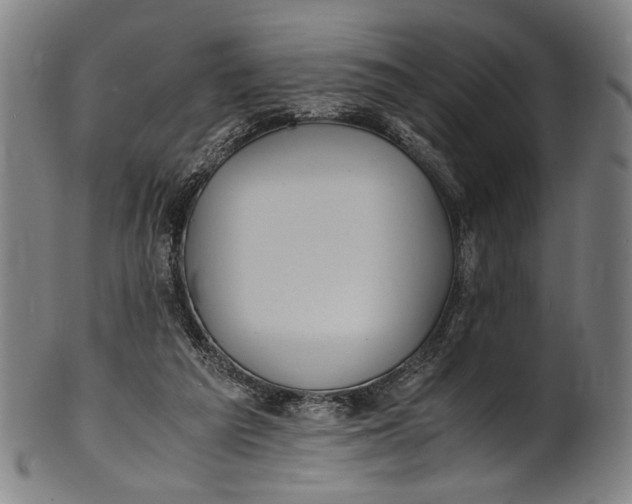 X0000100850209200807111224