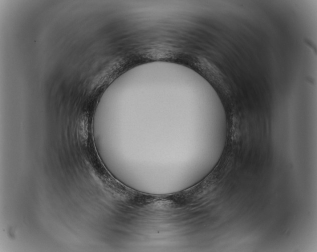 X0000100850210200807111224