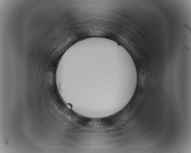 X0000100850211200807111224