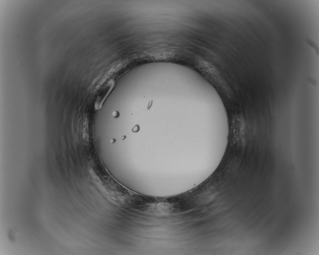 X0000100850212200807111224