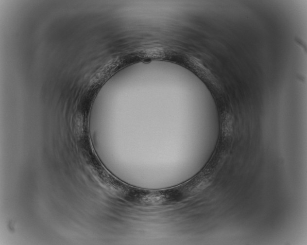 X0000100850213200807111224