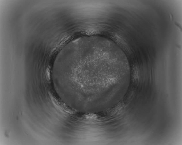 X0000100850214200807111224