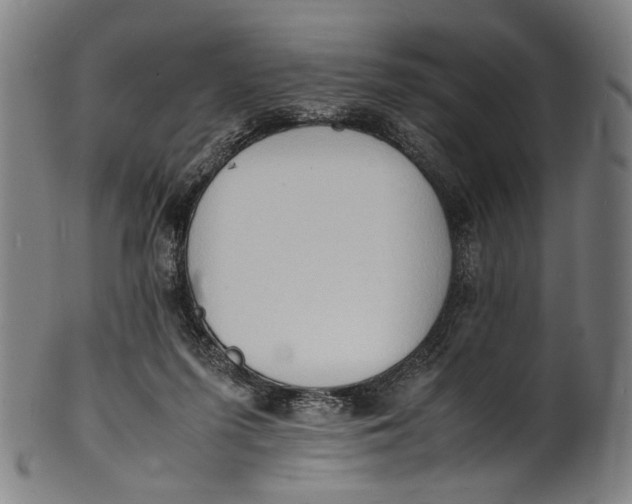 X0000100850215200807111224