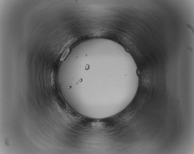 X0000100850216200807111224