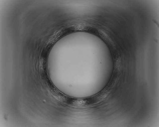 X0000100850217200807111224