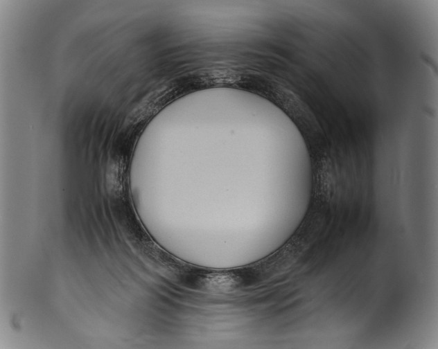 X0000100850218200807111224