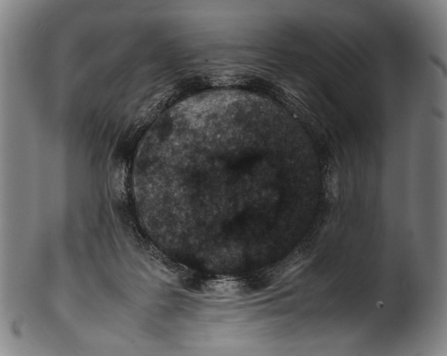 X0000100850219200807111224