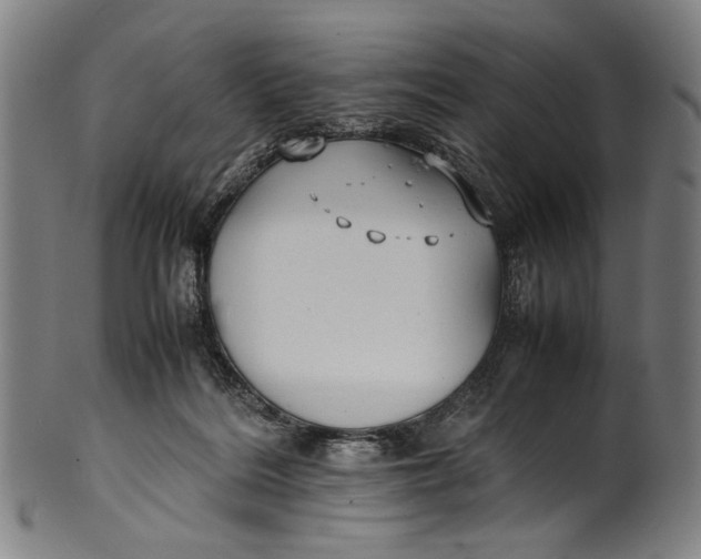 X0000100850220200807111224