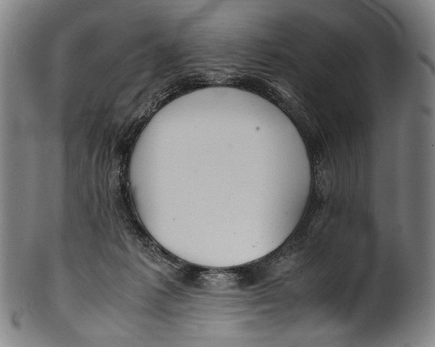 X0000100850221200807111223