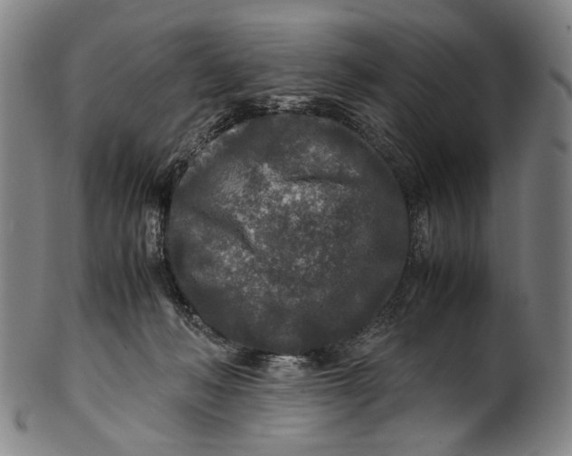 X0000100850222200807111223