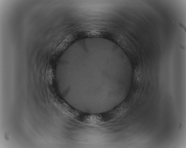 X0000100850223200807111223