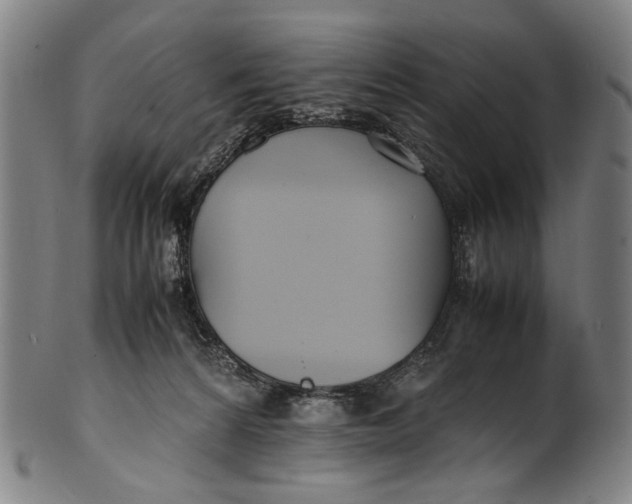 X0000100850224200807111223