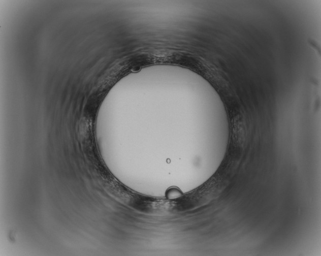 X0000100850225200807111223