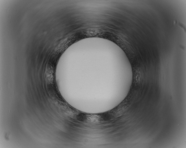 X0000100850226200807111223