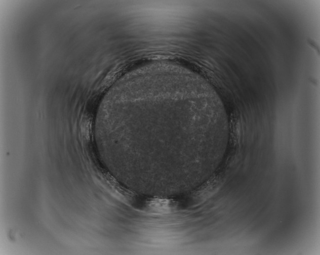 X0000100850227200807111223