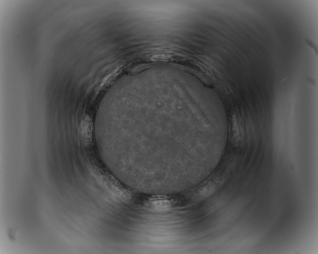 X0000100850228200807111223