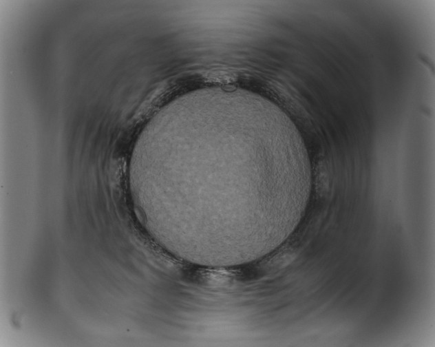 X0000100850229200807111223