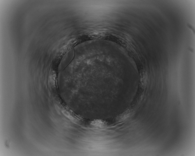 X0000100850231200807111223