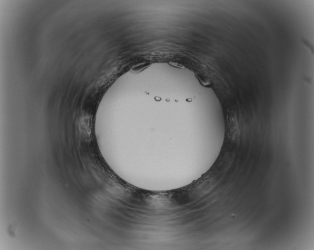 X0000100850232200807111223