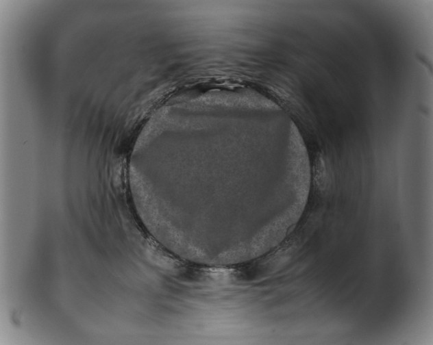 X0000100850233200807111223