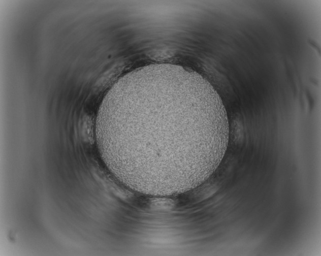 X0000100850234200807111223