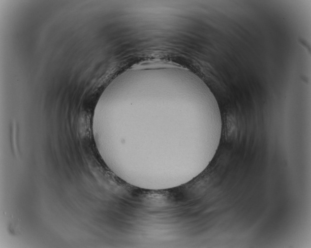 X0000100850236200807111223