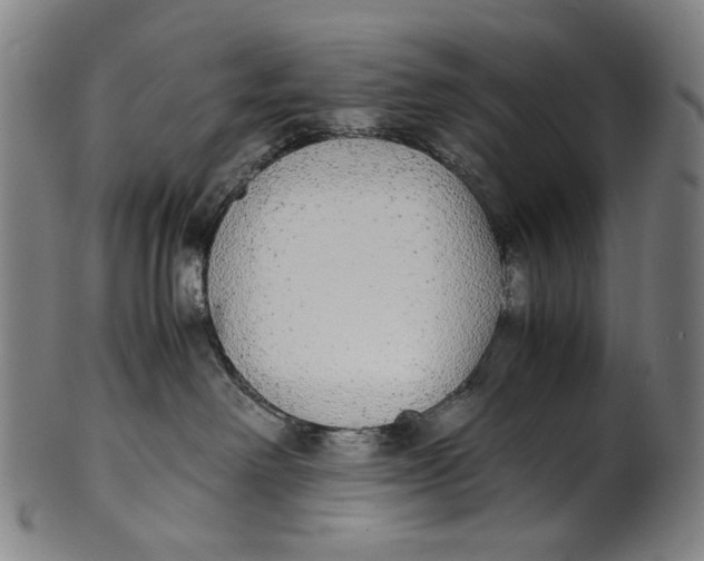 X0000100850238200807111223