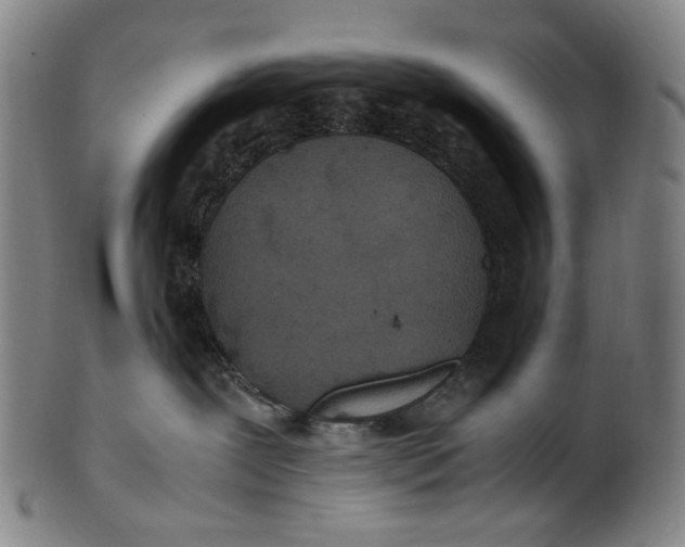 X0000100850239200807111223