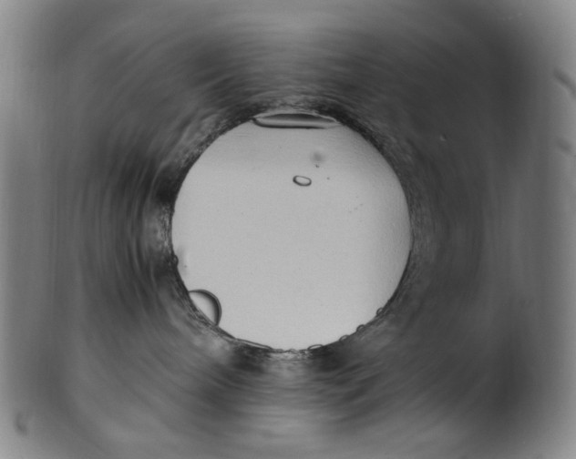 X0000100850240200807111223