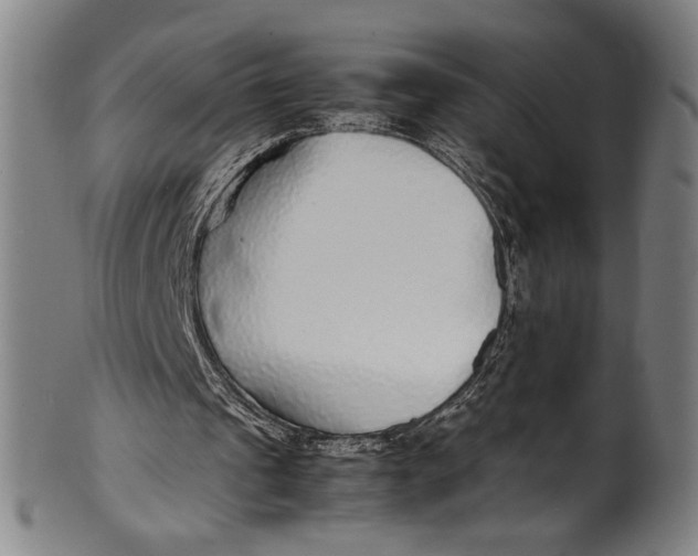 X0000100850241200807111222