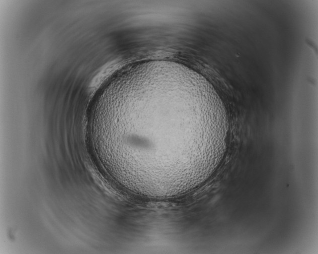 X0000100850242200807111223