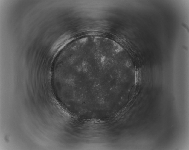 X0000100850243200807111223