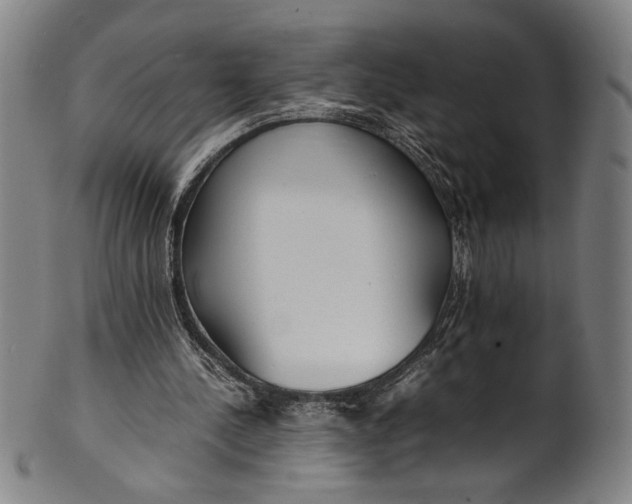 X0000100850244200807111223