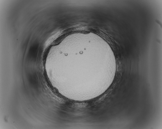 X0000100850245200807111223